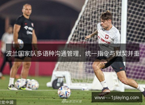 波兰国家队多语种沟通管理，统一指令与默契并重